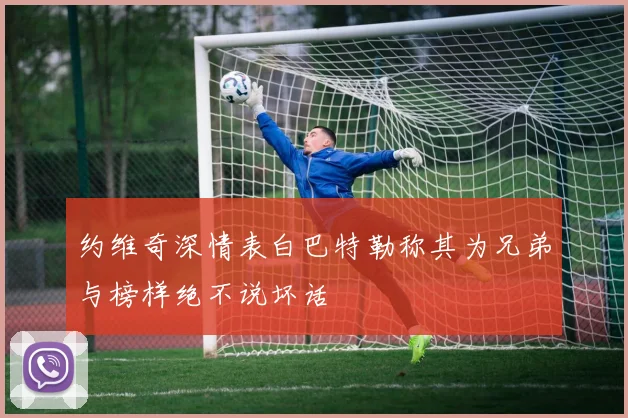 约维奇深情表白巴特勒称其为兄弟与榜样绝不说坏话